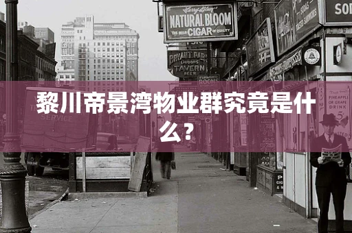 黎川帝景湾物业群究竟是什么？